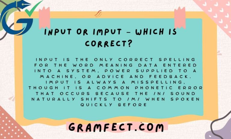 Input or Imput – Which Is Correct?